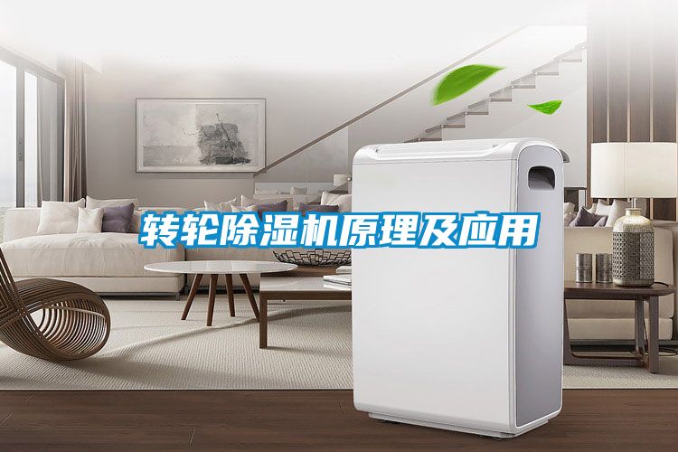 转轮香蕉福利视频机原理及应用