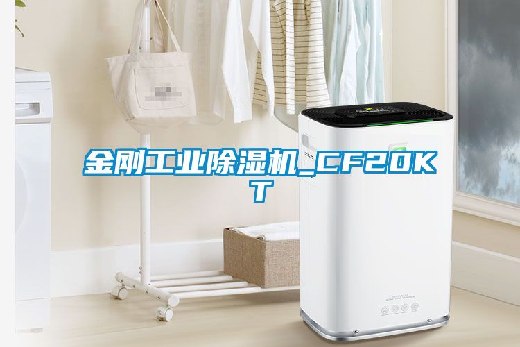 金刚工业香蕉福利视频机_CF20KT