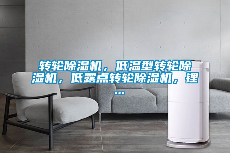 转轮香蕉福利视频机，低温型转轮香蕉福利视频机，低露点转轮香蕉福利视频机，锂 ...