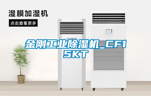 金刚工业香蕉福利视频机_CF15KT
