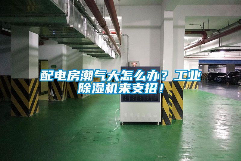 配电房潮气大怎么办？工业香蕉福利视频机来支招！