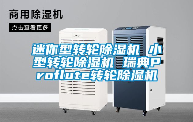 迷你型转轮香蕉福利视频机 小型转轮香蕉福利视频机 瑞典Proflute转轮香蕉福利视频机