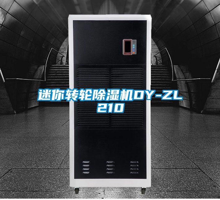 迷你转轮香蕉福利视频机DY-ZL210