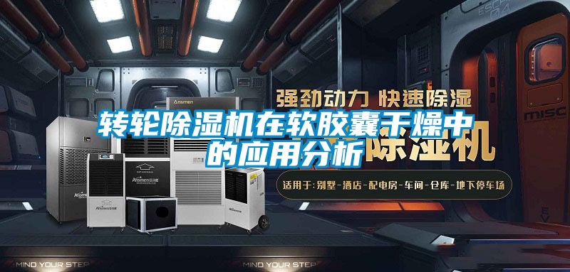 转轮香蕉福利视频机在软胶囊干燥中的应用分析