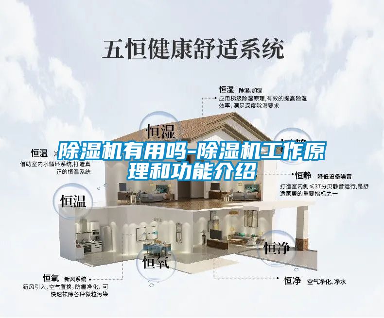 香蕉福利视频机有用吗-香蕉福利视频机工作原理和功能介绍