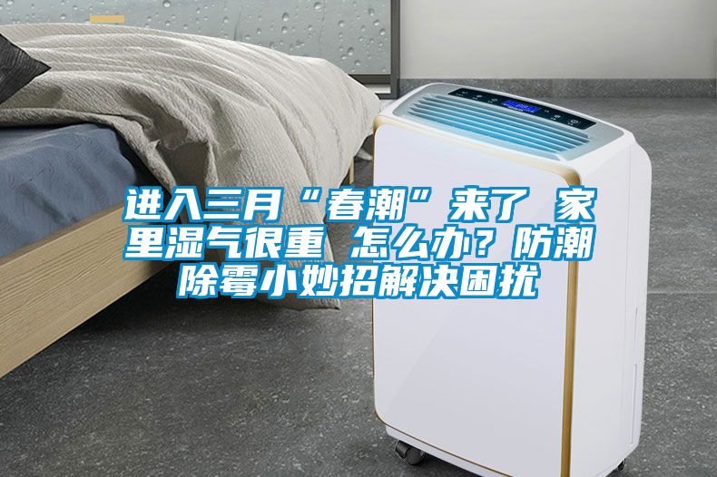 进入三月“春潮”来了 家里湿气很重 怎么办？防潮除霉小妙招解决困扰