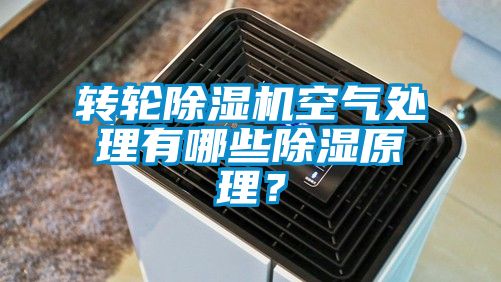 转轮香蕉福利视频机空气处理有哪些香蕉福利视频原理？