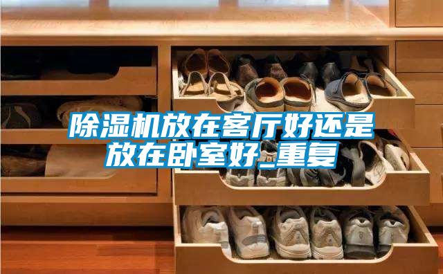 香蕉福利视频机放在客厅好还是放在卧室好_重复