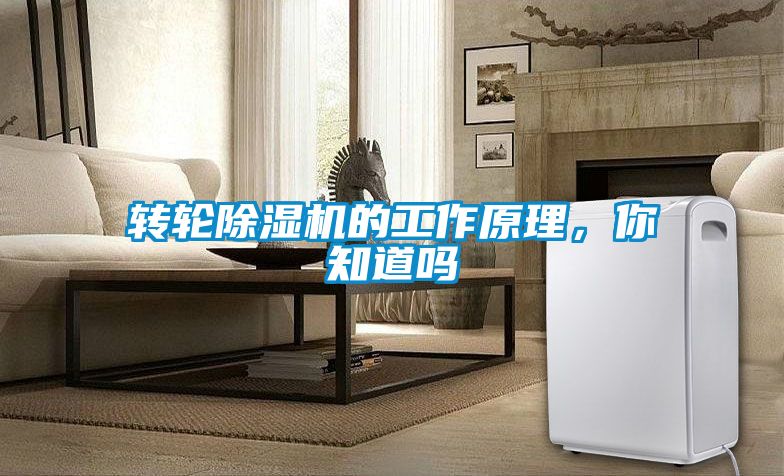 转轮香蕉福利视频机的工作原理，你知道吗