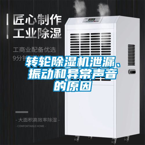 转轮香蕉福利视频机泄漏、振动和异常声音的原因