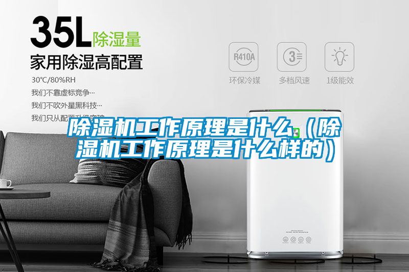 香蕉福利视频机工作原理是什么（香蕉福利视频机工作原理是什么样的）