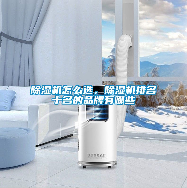 香蕉福利视频机怎么选，香蕉福利视频机排名十名的品牌有哪些