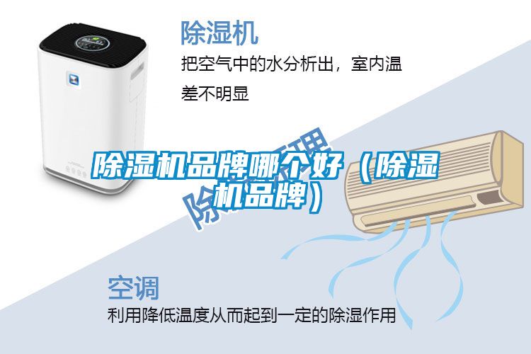 香蕉福利视频机品牌哪个好（香蕉福利视频机品牌）