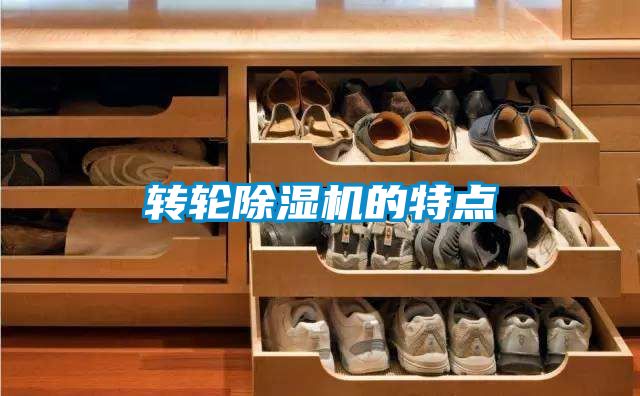 转轮香蕉福利视频机的特点