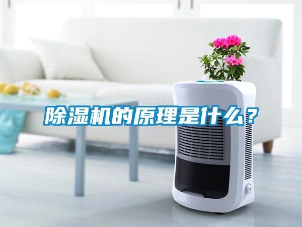 香蕉福利视频机的原理是什么？