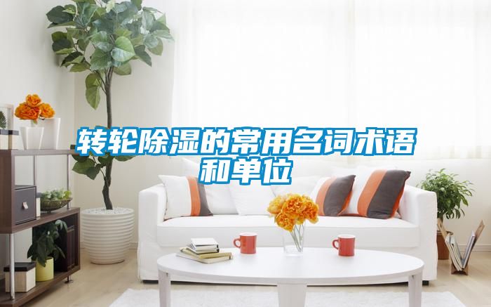 转轮香蕉福利视频的常用名词术语和单位