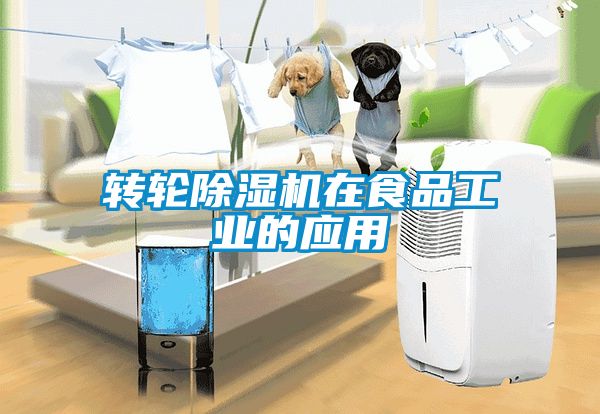 转轮香蕉福利视频机在食品工业的应用