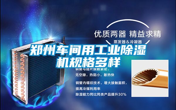 郑州车间用工业香蕉福利视频机规格多样