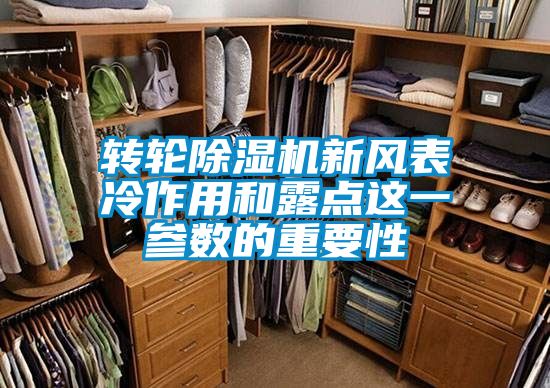 转轮香蕉福利视频机新风表冷作用和露点这一参数的重要性
