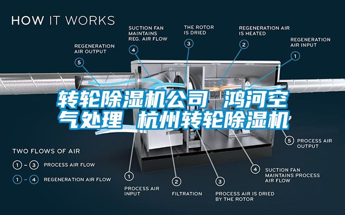 转轮香蕉福利视频机公司 鸿河空气处理 杭州转轮香蕉福利视频机