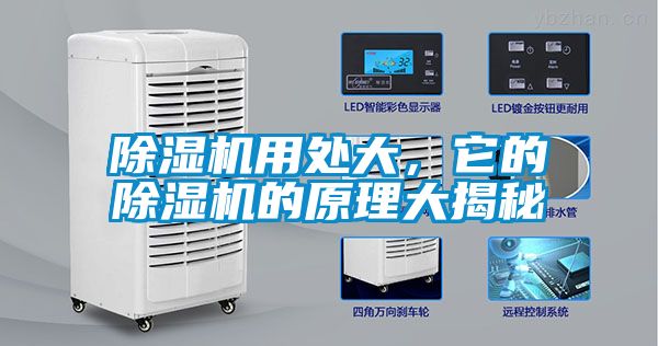 香蕉福利视频机用处大，它的香蕉福利视频机的原理大揭秘
