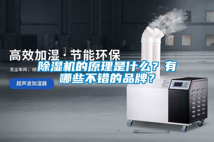 香蕉福利视频机的原理是什么？有哪些不错的品牌？
