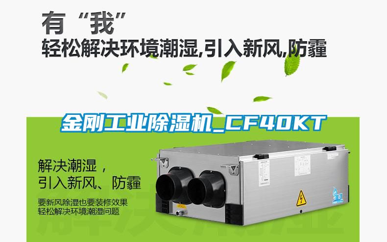 金刚工业香蕉福利视频机_CF40KT
