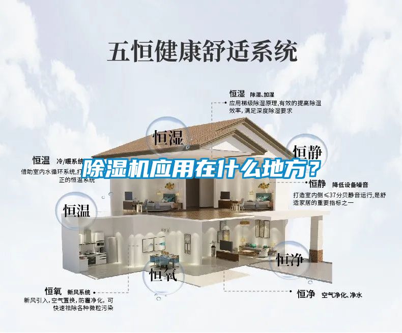 香蕉福利视频机应用在什么地方？