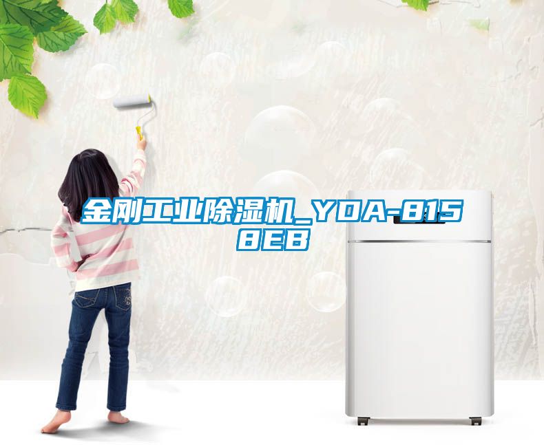 金刚工业香蕉福利视频机_YDA-8158EB