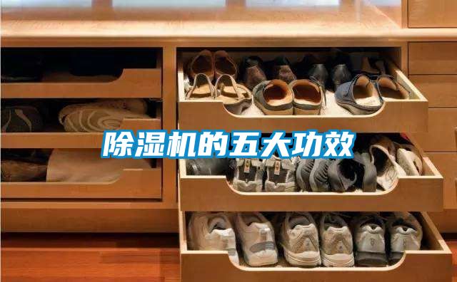 香蕉福利视频机的五大功效
