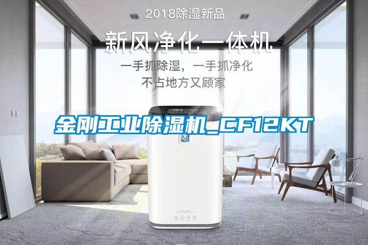 金刚工业香蕉福利视频机_CF12KT