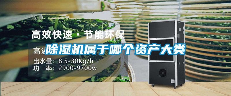 香蕉福利视频机属于哪个资产大类