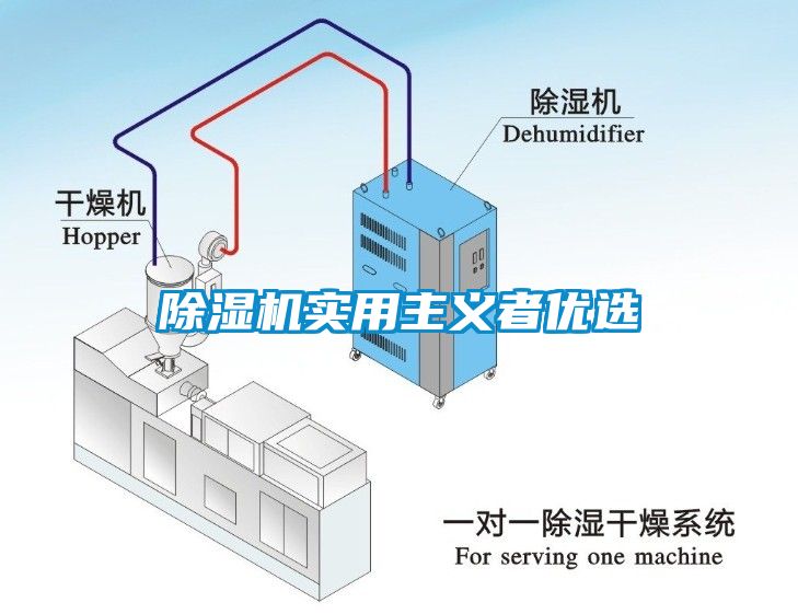 香蕉福利视频机实用主义者优选