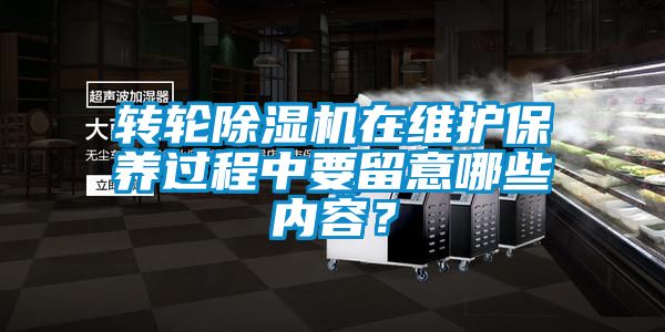 转轮香蕉福利视频机在维护保养过程中要留意哪些内容？