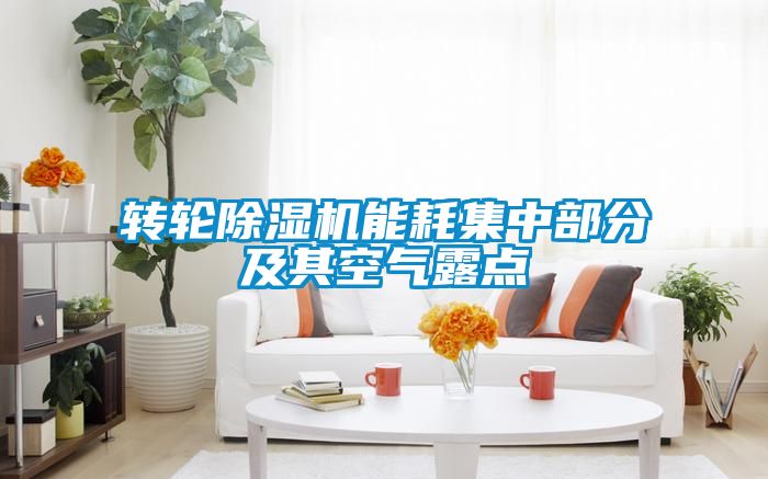 转轮香蕉福利视频机能耗集中部分及其空气露点