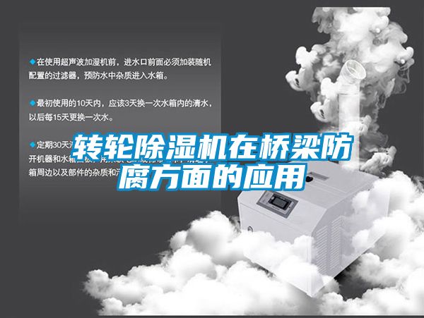 转轮香蕉福利视频机在桥梁防腐方面的应用