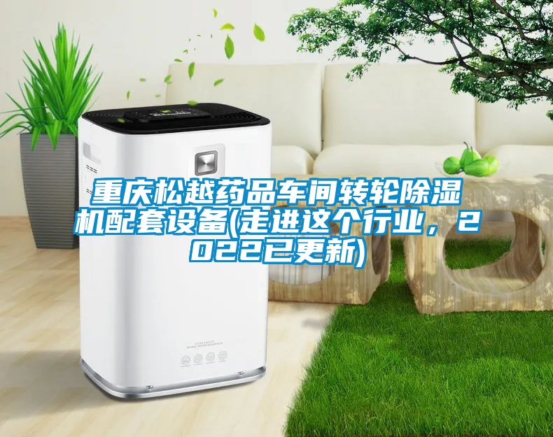 重庆松越药品车间转轮香蕉福利视频机配套设备(走进这个行业，2022已更新)