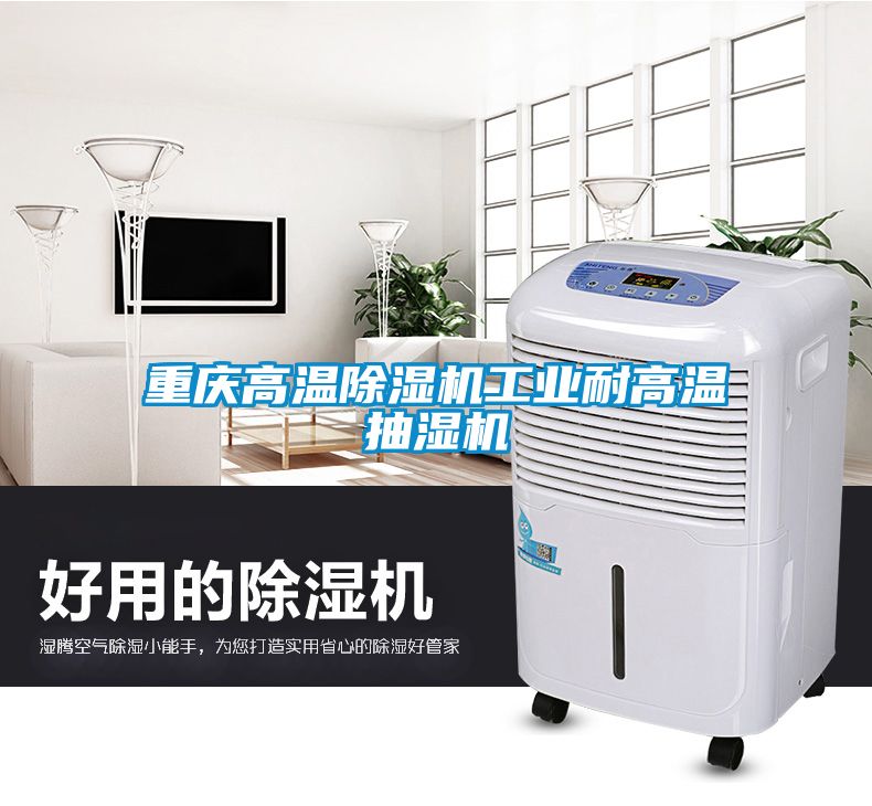 重庆高温香蕉福利视频机工业耐高温抽湿机