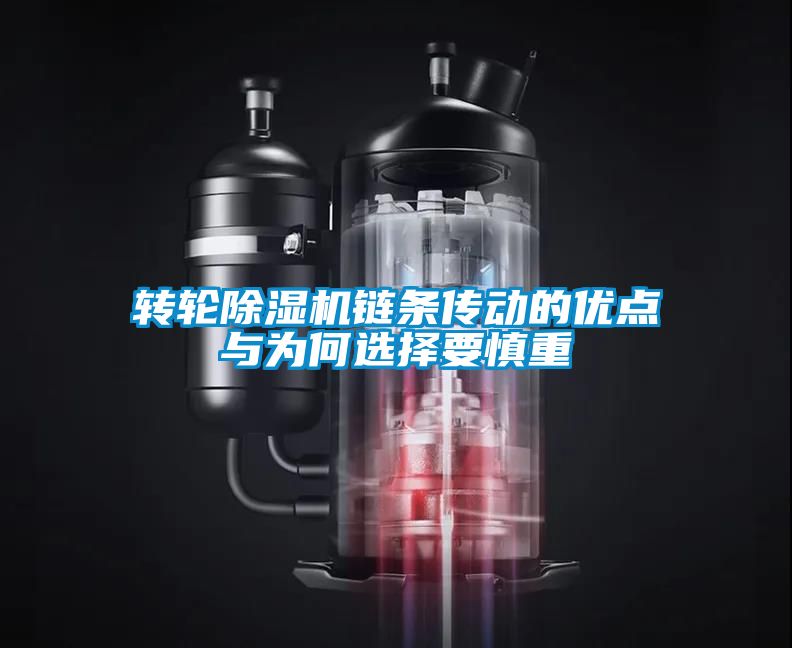 转轮香蕉福利视频机链条传动的优点与为何选择要慎重