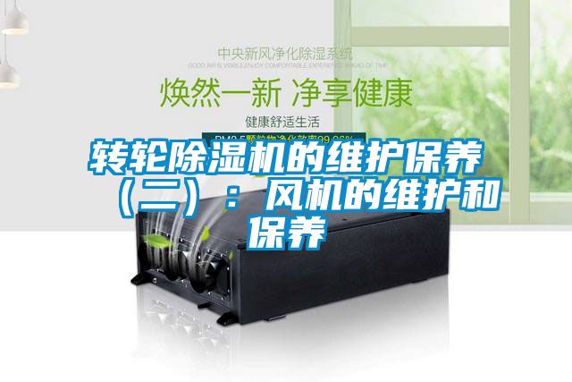 转轮香蕉福利视频机的维护保养（二）：风机的维护和保养