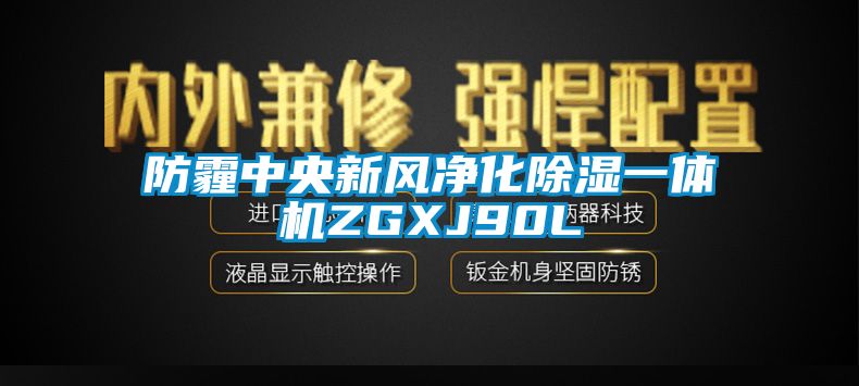 防霾中央新风净化香蕉福利视频一体机ZGXJ90L