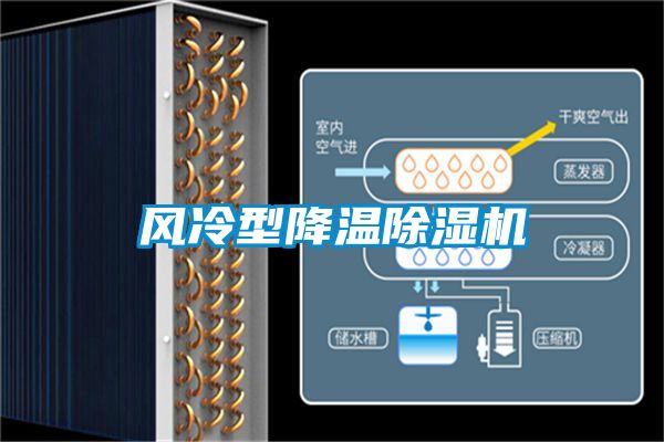 风冷型降温香蕉福利视频机