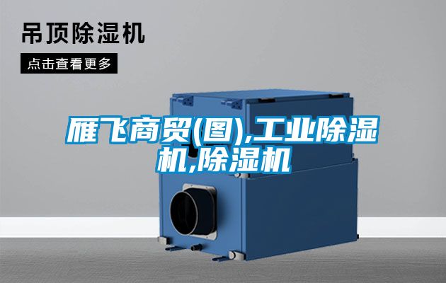 雁飞商贸(图),工业香蕉福利视频机,香蕉福利视频机