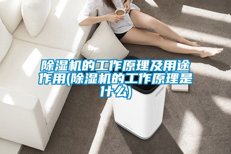 香蕉福利视频机的工作原理及用途作用(香蕉福利视频机的工作原理是什么)