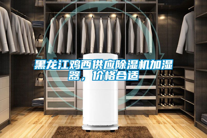 黑龙江鸡西供应香蕉福利视频机加湿器，价格合适