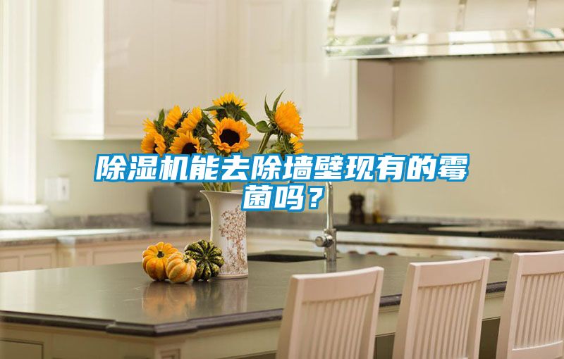 香蕉福利视频机能去除墙壁现有的霉菌吗？