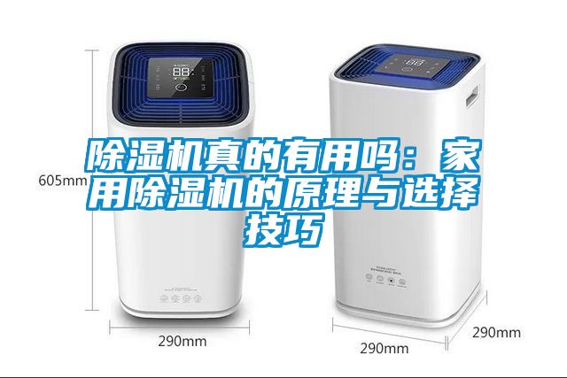 香蕉福利视频机真的有用吗：家用香蕉福利视频机的原理与选择技巧