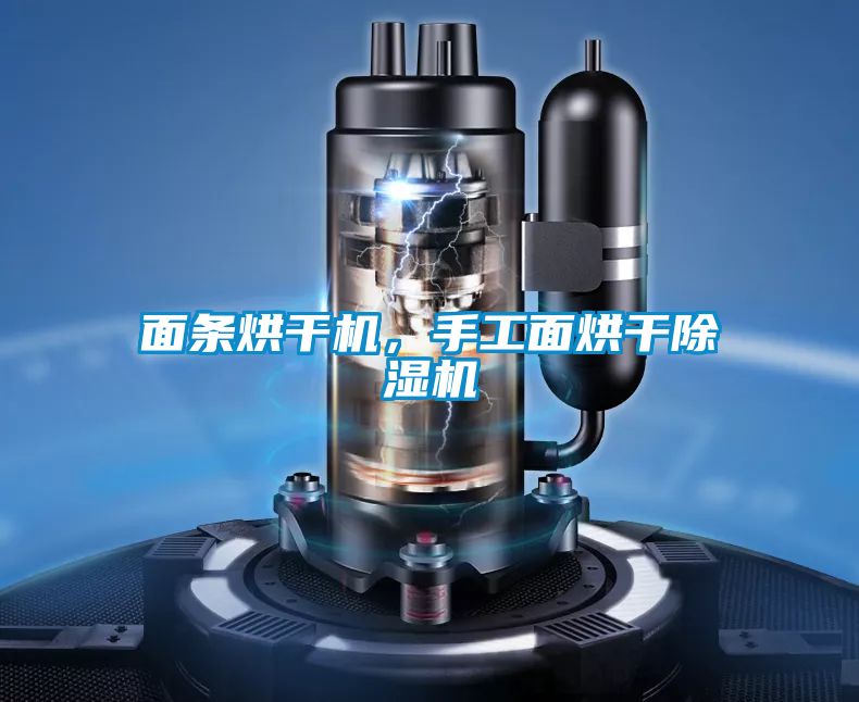 面条烘干机，手工面烘干香蕉福利视频机
