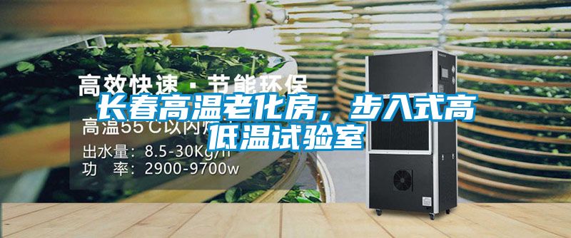长春高温老化房，步入式高低温试验室