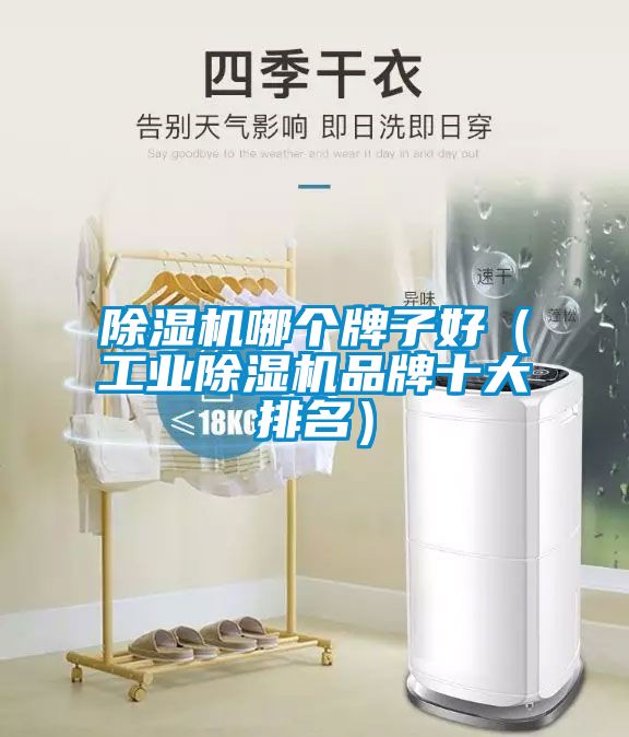 香蕉福利视频机哪个牌子好（工业香蕉福利视频机品牌十大排名）